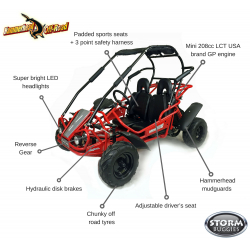 Red Hammerhead Mudhead 208R Buggy - Features