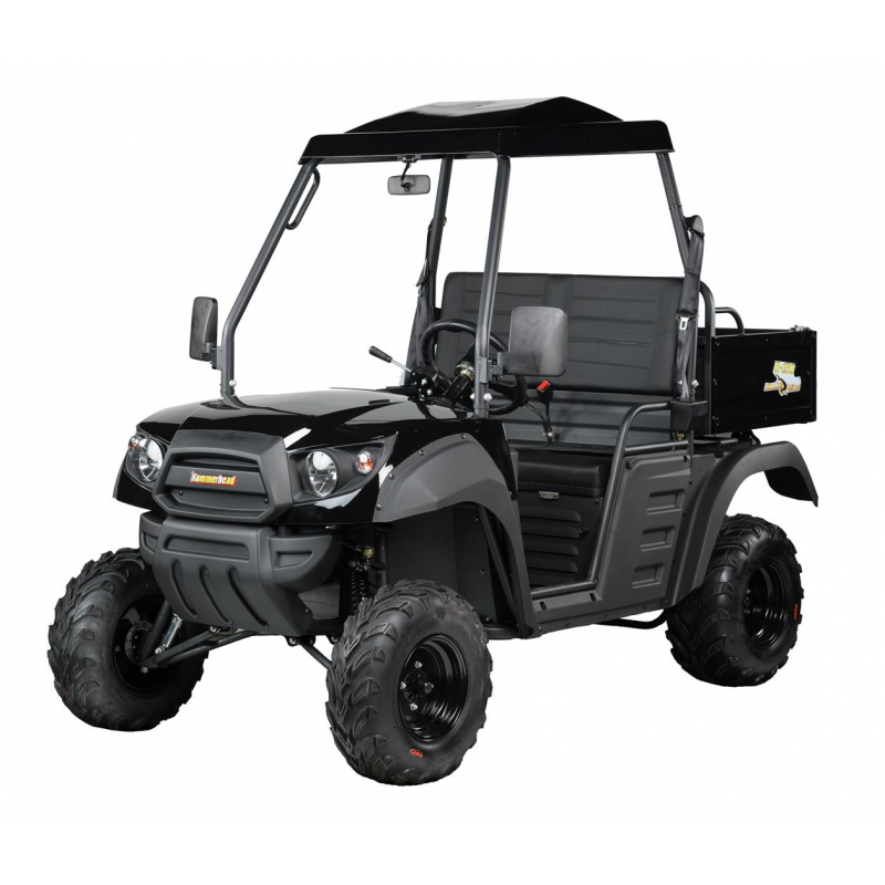 Hammerhead R-150™ Utility Vehicle - Black