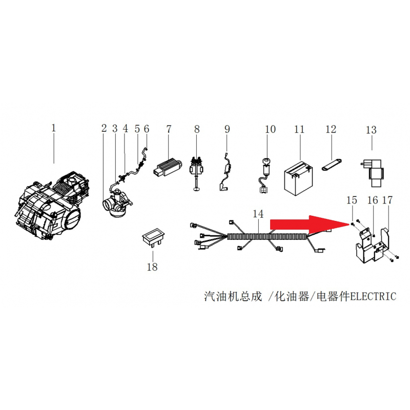 hex bolt - RFN 140cc / 125cc Thunder Dirt Bike