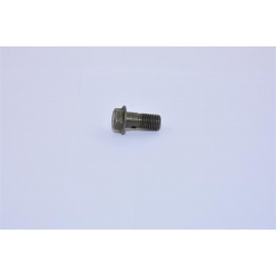 HOSE BOLT M10x1.25