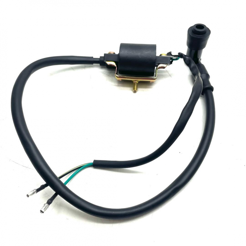 Ignition Coil - Thunder 250cc Dirt Bike