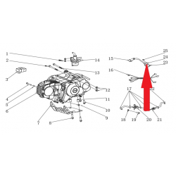 Ignition Coil Cap - RFN Thunder Pro 110cc Dirt Bike