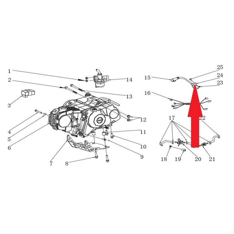 Ignition Coil Cap - RFN Thunder Pro 110cc Dirt Bike