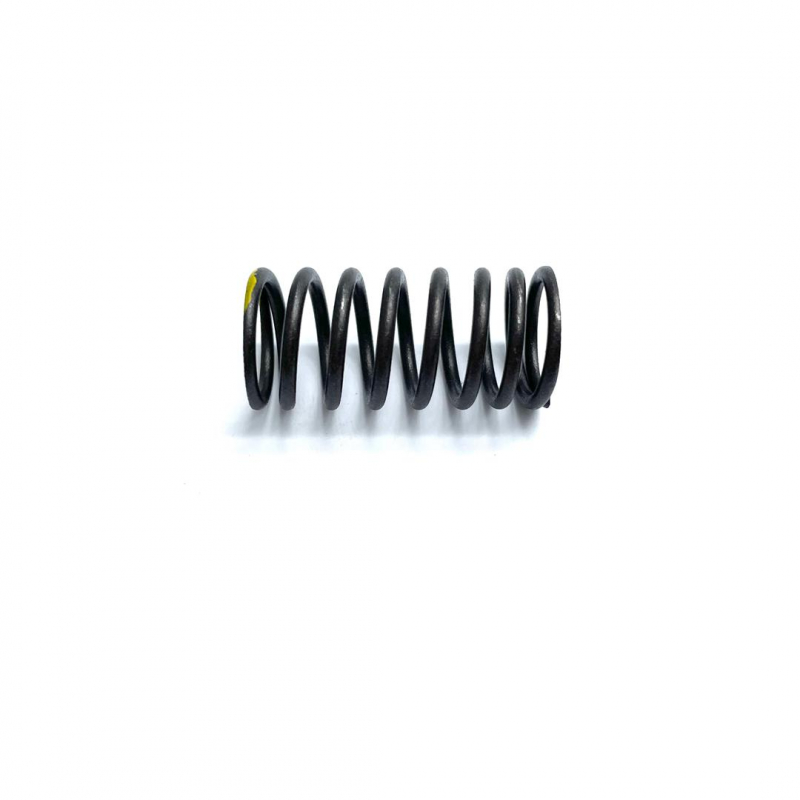 Inner Spring, Valve - RFZ 125cc Jaguar