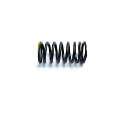 Inner Spring, Valve - RFZ 125cc Jaguar