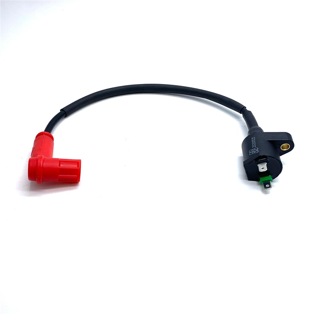 Ignition Coil Assembly - RFZ 110cc