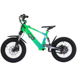 Kids 24v 600w Revvi 16" XL Electric Bike - Green