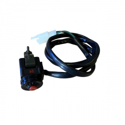Kill Switch Assembly - RFN Thunder 140cc & 250cc Dirt Bike