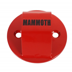 Mammoth Junior 2 Bolt In Ground Anchor