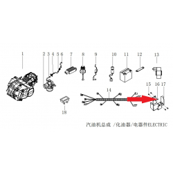 Nut - RFN 140cc / 125cc Thunder Dirt Bike