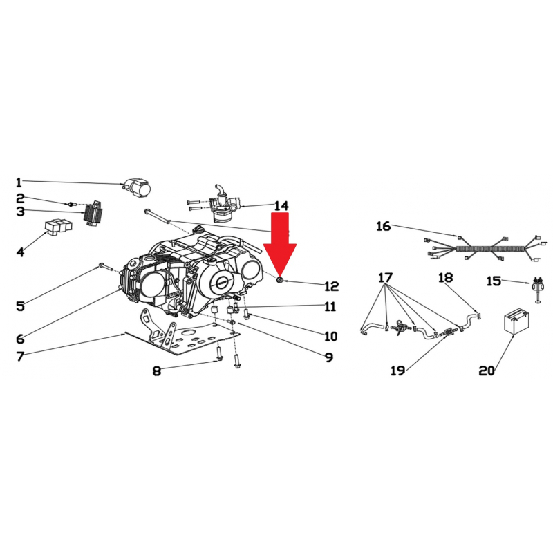 Nut - RFN 70cc / 110cc Thunder Dirt Bike