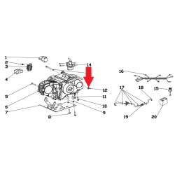 Nut - RFN 70cc / 110cc Thunder Dirt Bike
