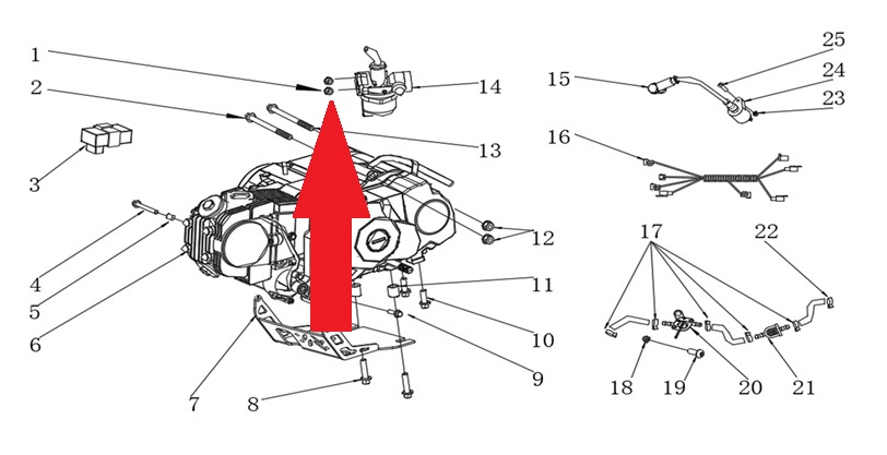 Nut - RFN Thunder Pro 110cc Dirt Bike