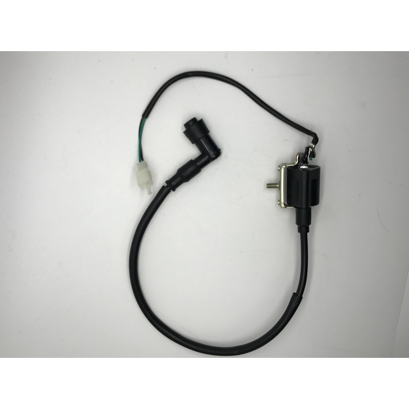 Orion Ignition Coil / HT Lead