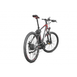 Passion 16 Electric Mountain Bike