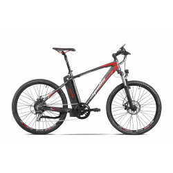 Passion 16 Electric Mountain Bike