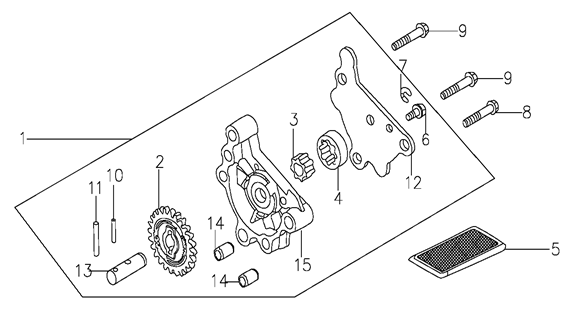 Pump Assembly