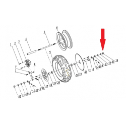 Rear Wheel Nut (M10 x 1.25) - 250w Monkey Bike