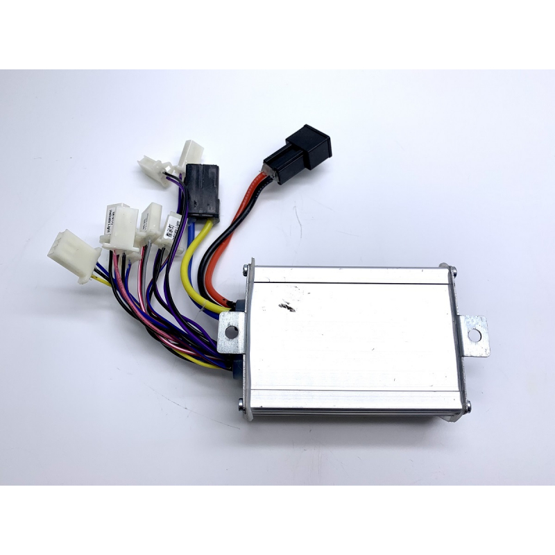 Renegade 1000w 36v Controller