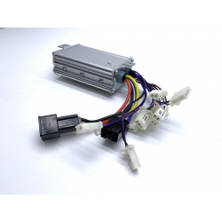 Renegade 1000w 36v Controller