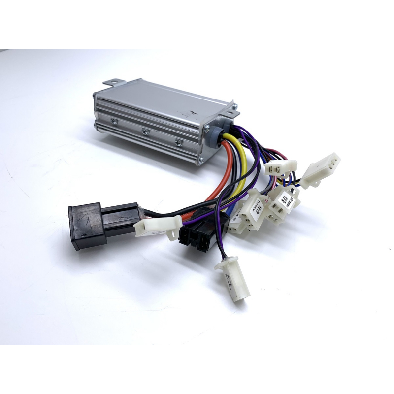 Renegade 1000w 36v Controller