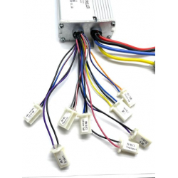 Renegade 1000w 36v Controller
