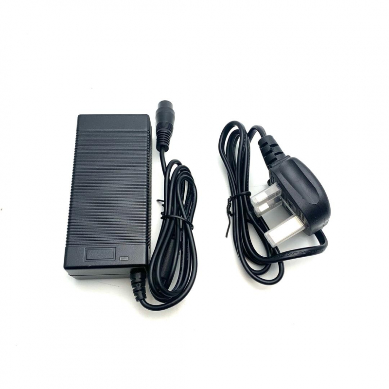 Renegade 1000w Electric Quad Charger