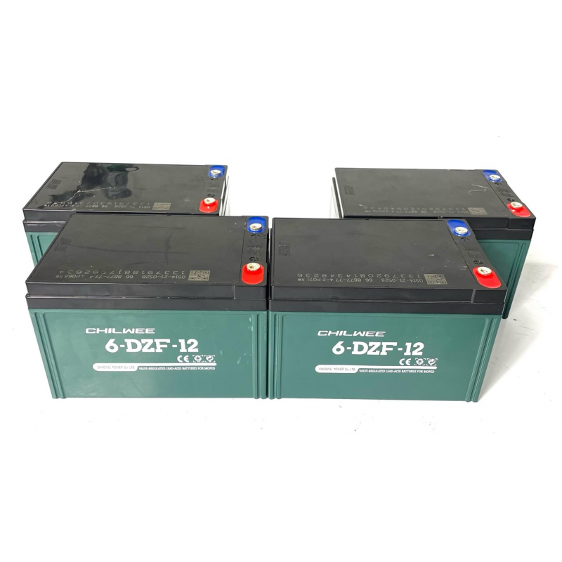 Renegade 1100W Electric Quad Battery Set 48v 12AH (4pcs Lead Acid)