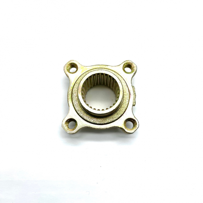 Renegade 125cc Rear Axle Spindle Plate