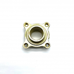 Renegade 125cc Rear Axle Spindle Plate