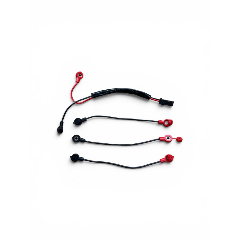Renegade 48v Complete Battery Wiring Set (1100w & 1200w Quads)