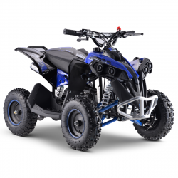 Renegade 50cc Sport Kids Mini Petrol Quad Bike - Blue