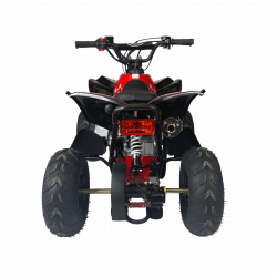 Renegade 70cc Kids Quad Bike - Fully Automatic