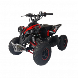 Renegade 70cc Kids Quad Bike - Fully Automatic