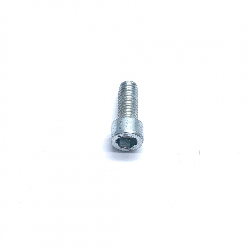 Hex Socket Bolt (M8 x 20mm) - Renegade 1200w Quad