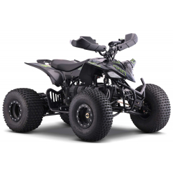 Renegade Pro 1500w 60v 32Ah Electric Quad Bike