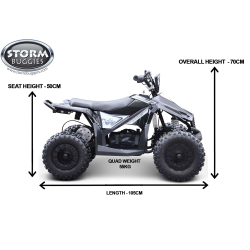 Renegade Ranger 1000w 36v Electric Kids Quad Bike - Green