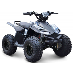 Renegade Ranger 1200w 48v 20Ah Electric Kids Quad Bike - Black