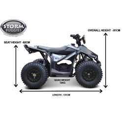 Renegade Ranger 1200w 48v 20Ah Electric Kids Quad Bike - Pink