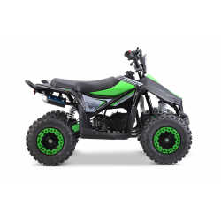 Ex Demo Renegade Ranger 50cc Kids Mini Petrol Quad Bike - Green - Fully Built