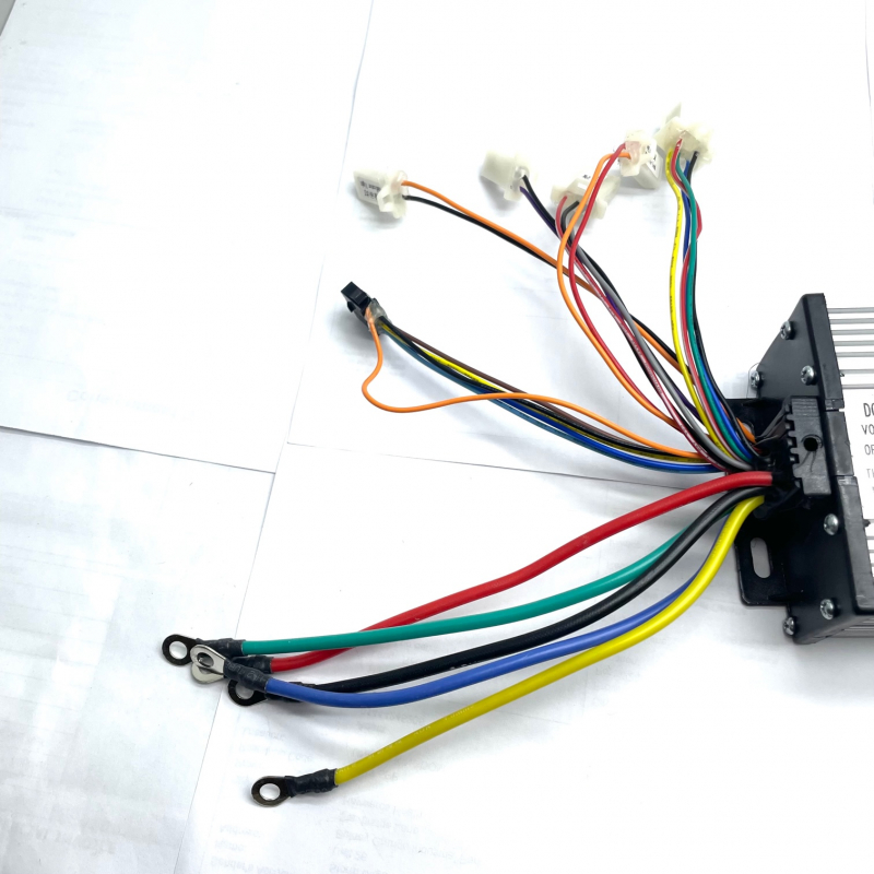 Renegade UTV 1200w 48v Controller