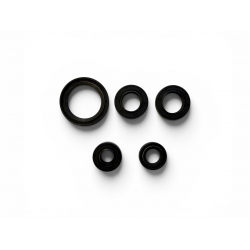 RFN YX 110cc Bottom End Gasket Kit