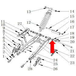 RXF Freeride Bearing