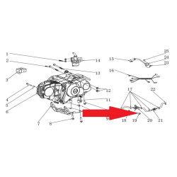 Screw (M6 x 20mm) - RFN Thunder Pro 110cc Dirt Bike