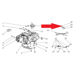 Screw (M6 x 25mm) - RFN Thunder Pro 110cc Dirt Bike