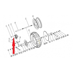 Spring Washer 6 - 250w Monkey Bike