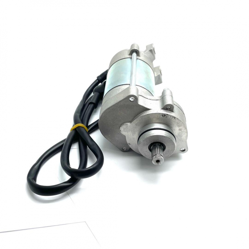 Starter Motor Assembly - RXF 190cc Freeride