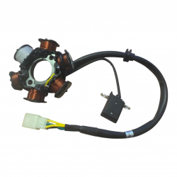 Stator / Magneto Assembly - RFN 140cc / 125cc Thunder Dirt Bike