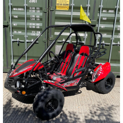 Trail Blazer 200 175cc Off Road Buggy - Huge Saving!