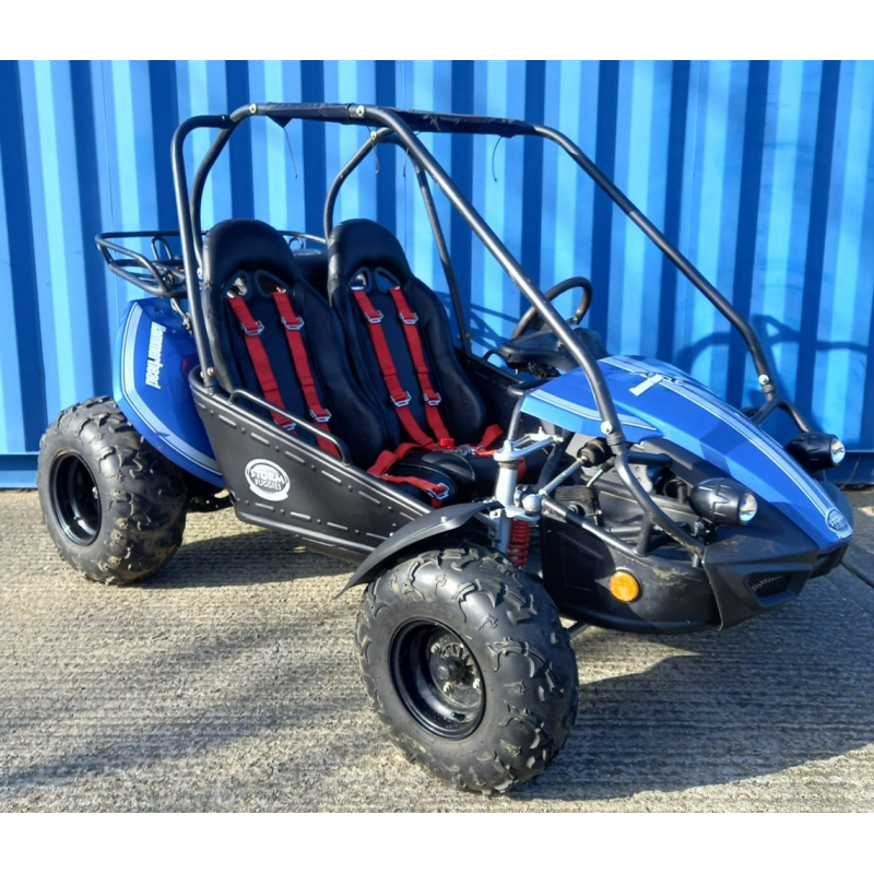 Used Hammerhead&trade; GTS150 Buggy with USA Specs - Blue - Only 319 Miles